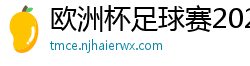 欧洲杯足球赛2024赛程时间表